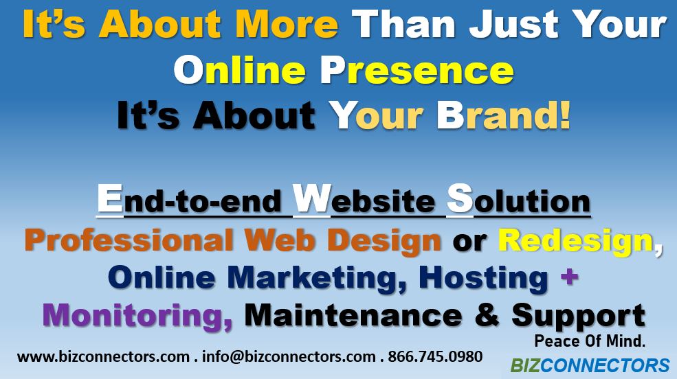 Professional Web Design or Redesign